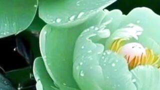 Beautiful nature