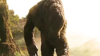 The Kingkong
