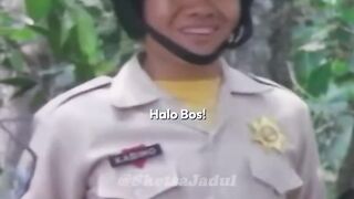 Jangkrik bos