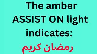 The amber ASSIST ON light indicates: