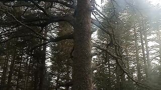 La nature nous parle