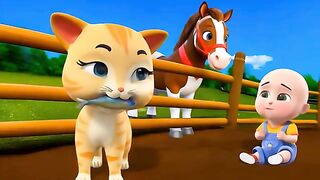 Baby Kitten Snatching Fish Song New Compilation ｜ Yankee Doodle Baby Cartoon & Kids Songs Baby Bobo.mp4