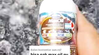Takaran Maxoil untuk budidaya lele skala sedikit