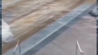 unexpected ending