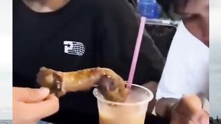 collection of funny videos