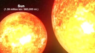 Stars Size Comparison