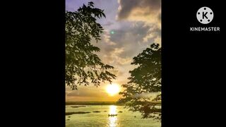 The lofi music chill study