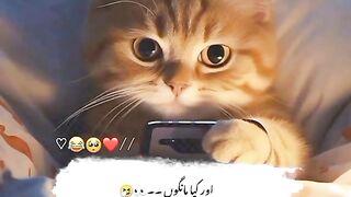 Mentioned your busy friend ????????????