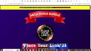 Place Your Link 25 Review