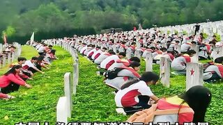The Salute