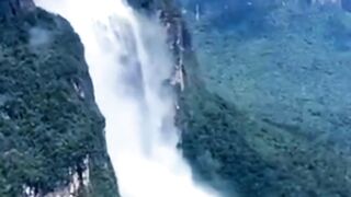আপনি কি এই তথ্যগুলো জানেন!? ভিডিওটি দেখুন
