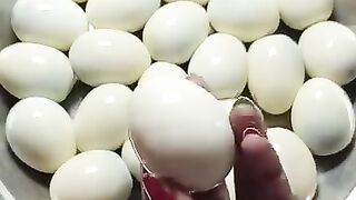 Egg Specialist