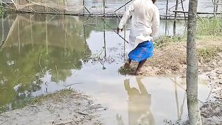 mister-shiraj