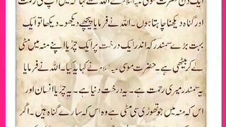 Shariat Ke Masail Seekhain