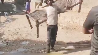 Life in the village
