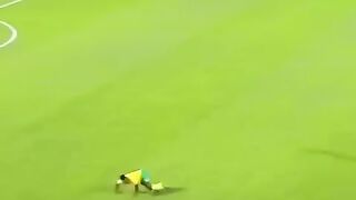 التحفة الفنية المنتخب الوطني الجزائري تيكي تاكا