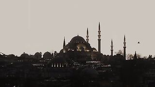 Beautiful Quran Recitation ????