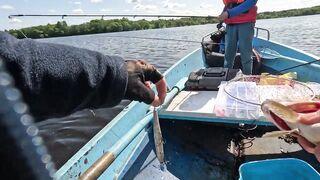 We release the pike. The principle of caught-let go!
