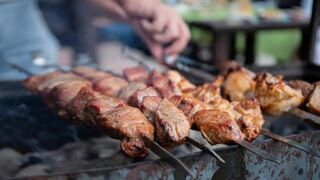 Spicy barbecue shish kebab