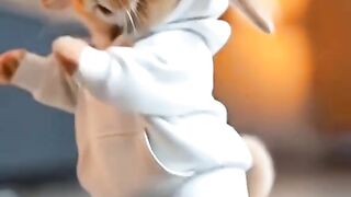 Cute bunny running at the gym
