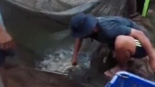 Tanpa alat ini kalian tidak mungkin bisa panen ikan lele