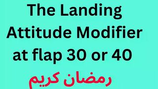 The Landing Attitude Modifier at flap 30 or 40