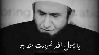 bayan