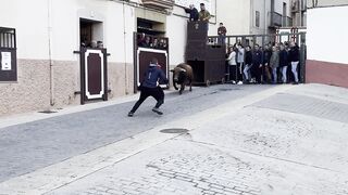 TORO CERRIL EN TALES !!