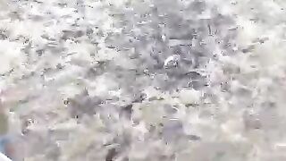 JANGAN TELAT NGASIH MAKAN LELE NANTI MASUK ANGIN