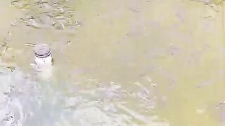 Budidaya lele skala rumahan dengan 3 kolam itu sudah cukup