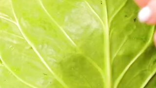 Delicious cabbage cooking