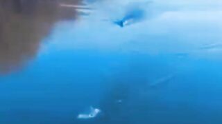 the scream in the end