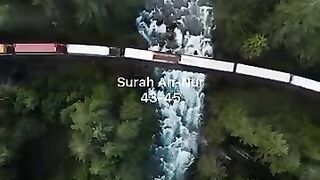 VID-20250314-WA000