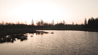 Sunrise trees forest
