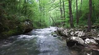 beautiful river water in the forest