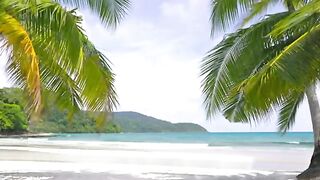Scenery of the Sea Beach with White Sand and Rocky Shores