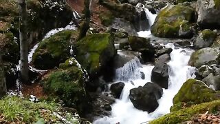Flowing River Water, Wild Nature, Beautiful Scenery