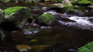 river scenery