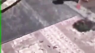 This is the aftermath of Israel massacring