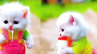 Funny ???? 3d cat dance short