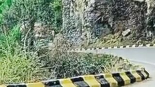 گلیات  کی شہزادیاں