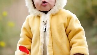 Children's toys and animals