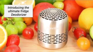 Odor Free Home