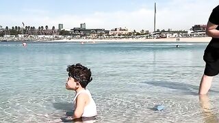 THE SHARK ATTACK