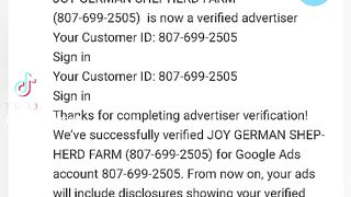 Google Ads Advertiser Verification or Business Operation Verification (BOV)