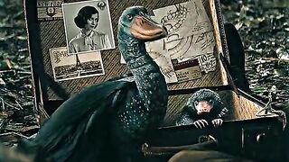What did I just saw ???????? #fantasticbeast #2025