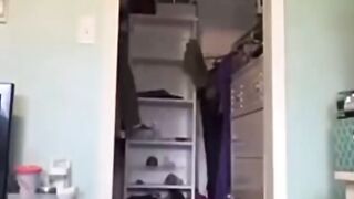 Laugh hub