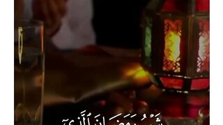 Recitation