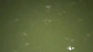 Larva lele ini cair jadi cuan nanti setelah lebaran, sekarang sabar urus dulu