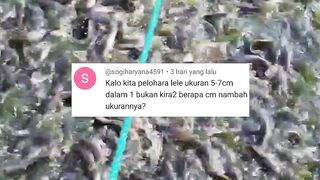 Pertanyaan simple tapi membuat saya dilema menjawabnya